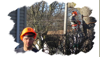 Sparta Tree Service