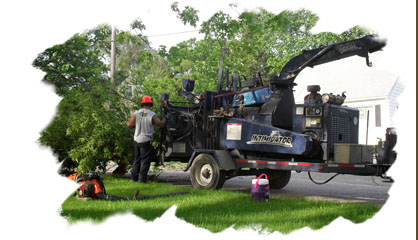 Sparta Tree Service